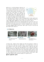 [스포츠교육] 탈모에 좋은 운동과 탈모 예방법-7