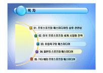 해외 프로스포츠와 매스 미디어-2
