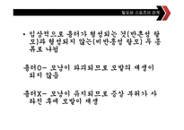 [스포츠교육] 탈모에 좋은 운동과 탈모 예방법-4