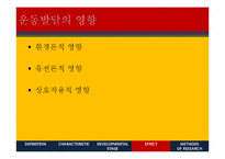 운동발달 특징과 단계 및 영향 연구-12