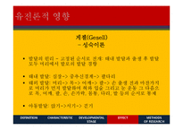 운동발달 특징과 단계 및 영향 연구-17