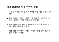 [생명윤리] 동물실험 연구-7