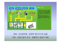 [생태학] 신재생에너지 현황과 발전 방향-10
