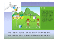 [생태학] 신재생에너지 현황과 발전 방향-11