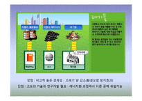 [생태학] 신재생에너지 현황과 발전 방향-14