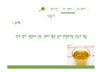 [식품학] 발효차, 효소발효차와 균류발효차-11