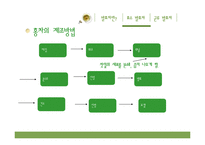 [식품학] 발효차, 효소발효차와 균류발효차-17