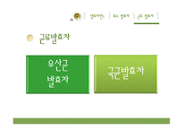 [식품학] 발효차, 효소발효차와 균류발효차-20