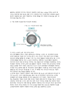 [인적자원관리] 여성 인력 활용 및 개발-17