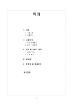 [국제경영] 오로라월드 STP 및 SWOT 분석 및 4P전략-1