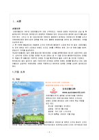 [국제경영] 오로라월드 STP 및 SWOT 분석 및 4P전략-2