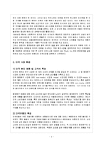 [국제경영] 오로라월드 STP 및 SWOT 분석 및 4P전략-4