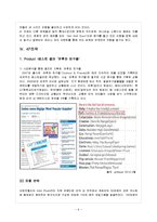 [국제경영] 오로라월드 STP 및 SWOT 분석 및 4P전략-9