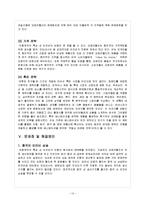 [국제경영] 오로라월드 STP 및 SWOT 분석 및 4P전략-10