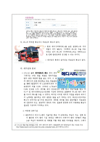 [여행사 경영] 대구시티투어 문제점 및 개선 방안-13
