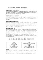 [국제통상] 물류보안과 컨테이너 안전협약-9
