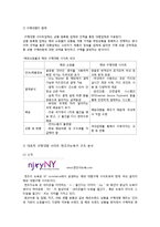 [서비스마케팅] 대행서비스의 차별적 마케팅-일반화와 고급화 사례를 중심으로-4