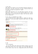 [서비스마케팅] 대행서비스의 차별적 마케팅-일반화와 고급화 사례를 중심으로-14