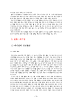 [경영학] 중소, 중견, 대기업의 경영환경 및 경영전략, 재무구조 분석-16