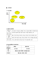 [마케팅] Southwest Airline 마케팅 전략 분석-8