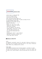 [마케팅] Southwest Airline 마케팅 전략 분석-10