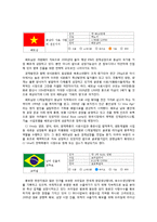 [경영학] CJ 제일제당의 글로벌 전략 분석-13