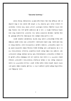 [마케팅] 2인승 경차 `스마트포투` 마케팅 전략-2