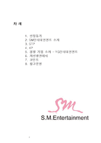 [마케팅] SM엔터테인먼트의 STP, 4P분석 및 개선 방안 제안-2