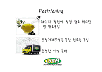[마케팅] 핸드메이드 화장품 러쉬(LUSH) SWOT분석 및 마케팅 전략-6