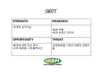 [마케팅] 핸드메이드 화장품 러쉬(LUSH) SWOT분석 및 마케팅 전략-13