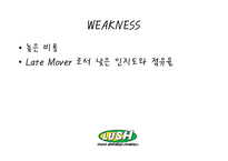 [마케팅] 핸드메이드 화장품 러쉬(LUSH) SWOT분석 및 마케팅 전략-15