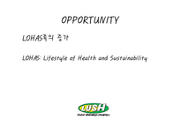 [마케팅] 핸드메이드 화장품 러쉬(LUSH) SWOT분석 및 마케팅 전략-16