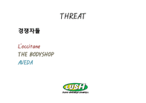 [마케팅] 핸드메이드 화장품 러쉬(LUSH) SWOT분석 및 마케팅 전략-17