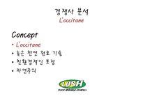 [마케팅] 핸드메이드 화장품 러쉬(LUSH) SWOT분석 및 마케팅 전략-18
