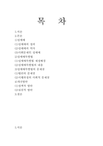 [사회복지]성매매문제(성매매특별법중심)-2