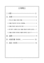 [사회복지]저출산의 원인과 실태-2