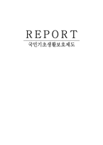 [사회복지]국민기초생활보장제도-1