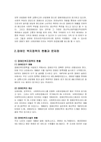 [사회복지]장애인 복지 정책의 현황 및 문제점-3