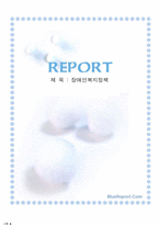 [사회복지]장애이복지정책의 문제점과 해결방안-1