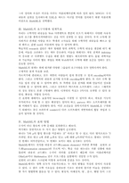 [졸업][수학과] 웹상의 수학적표현의 한계 극복-3