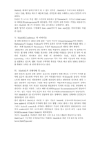 [졸업][수학과] 웹상의 수학적표현의 한계 극복-6