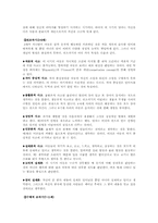 [인간행동과 사회환경]피아제의 인지발달이론-4