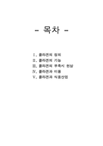 콜라겐에 대하여-건간식품학-2