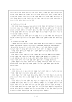 머튼의 기능주의-3