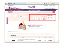 [서비스마케팅] 대행서비스의 차별적 마케팅-일반화와 고급화 사례를 중심으로-15