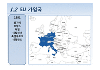 [국제통상] EU 재정위기 분석과 대응방안-7