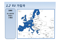 [국제통상] EU 재정위기 분석과 대응방안-11