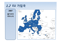 [국제통상] EU 재정위기 분석과 대응방안-13