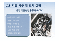 [국제통상] EU 재정위기 분석과 대응방안-17