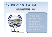 [국제통상] EU 재정위기 분석과 대응방안-20
